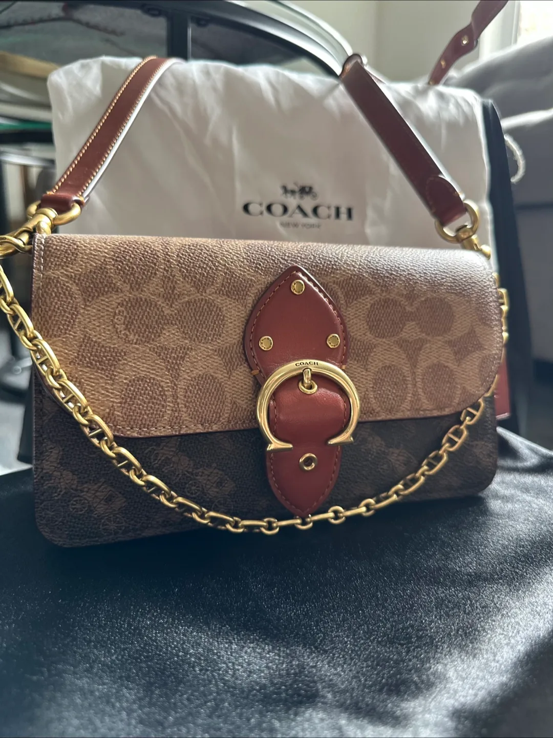 Coach Chain Wallet On Strap with Dustbag image indicator(5)