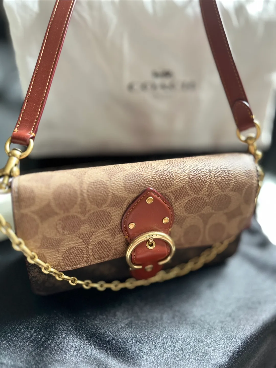 Coach Chain Wallet On Strap with Dustbag image indicator(7)