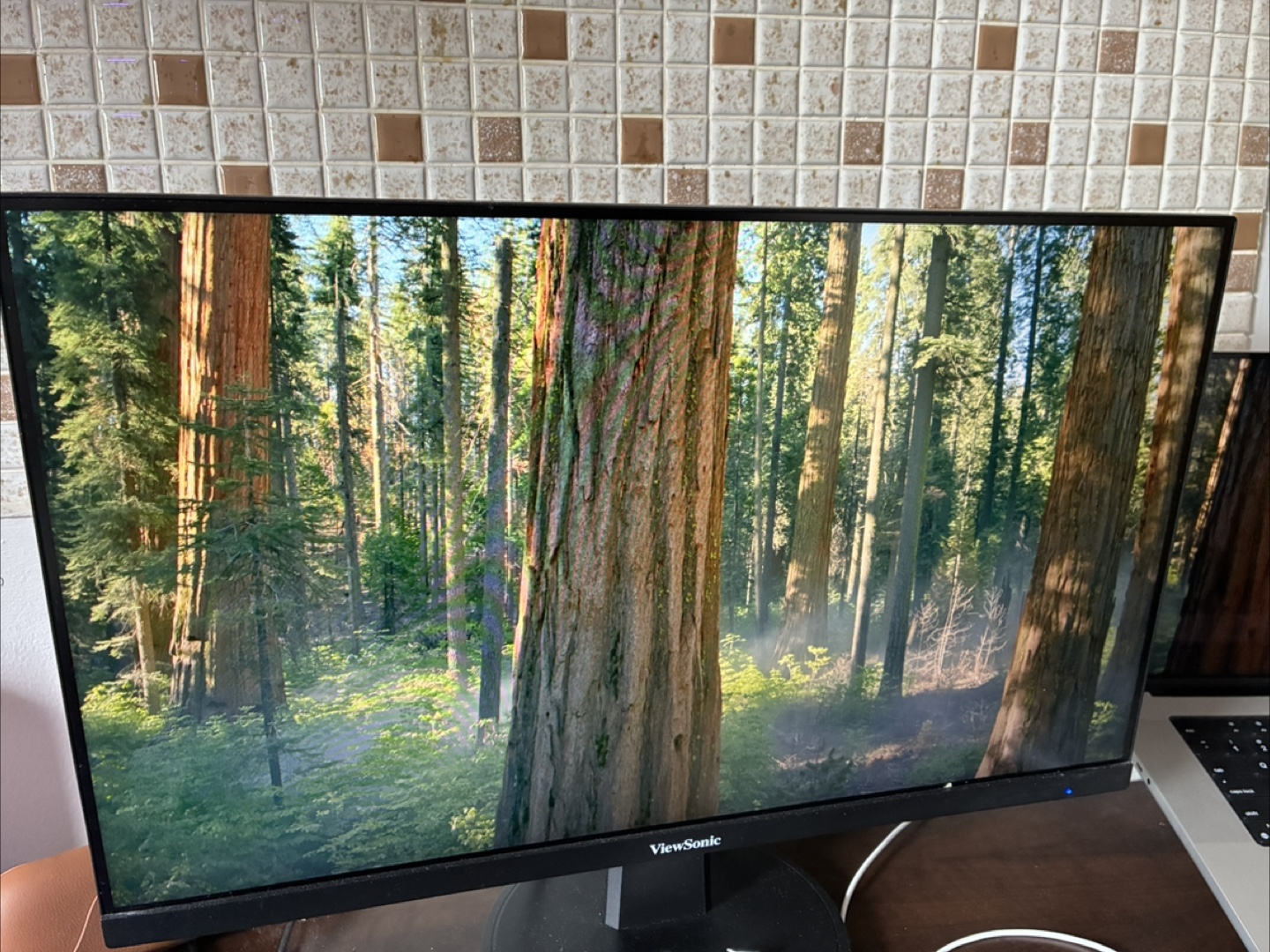 ViewSonic VA2447-MH 24-inch LCD Monitor - photo 2