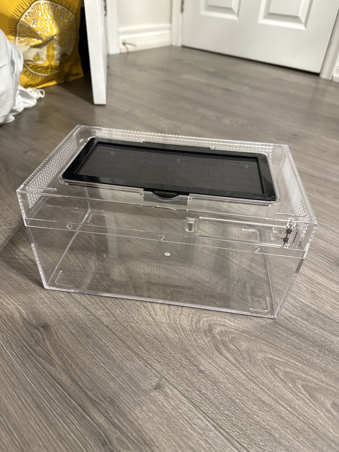 Clear Plastic Reptile Enclosure