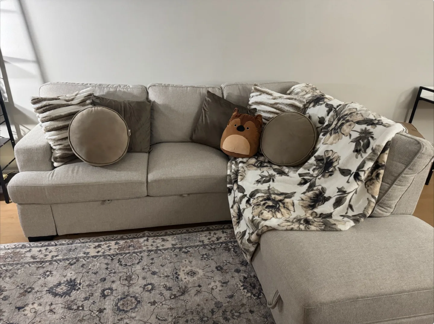 Beige Sectional Sofa with Pull-Out Sleeper image indicator(5)