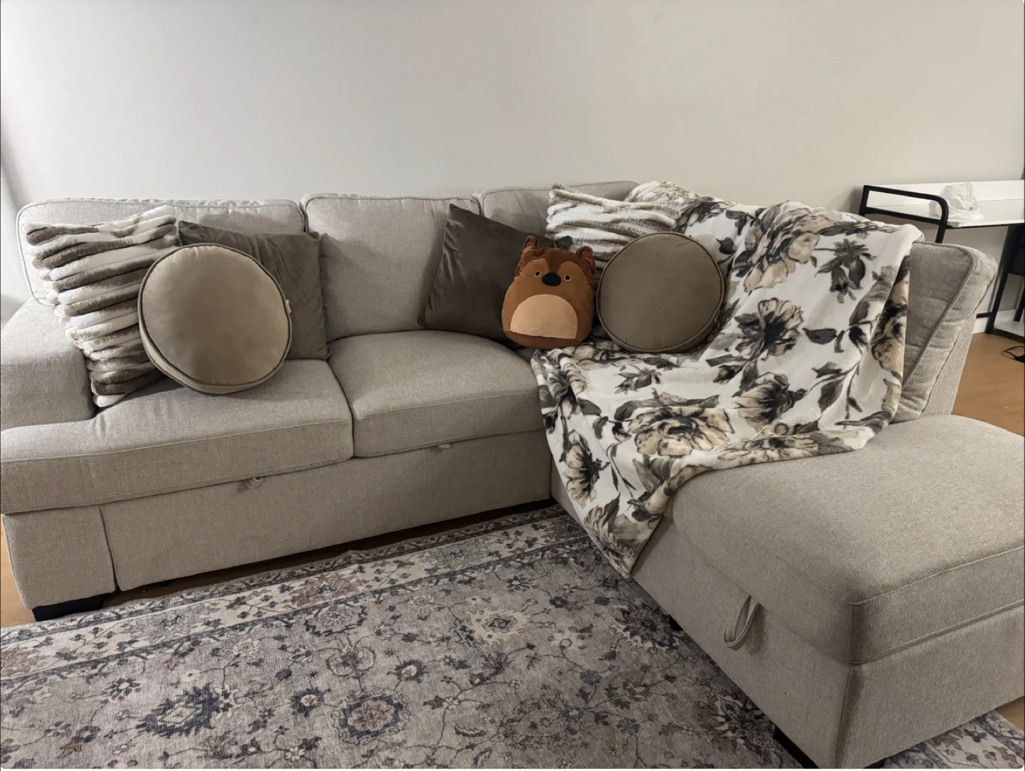 Beige Sectional Sofa with Pull-Out Sleeper image indicator(6)