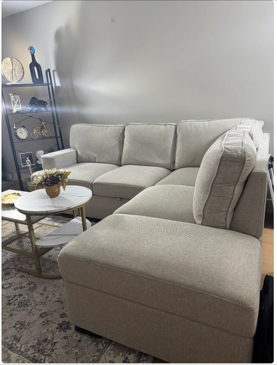 Beige Sectional Sofa with Pull-Out Sleeper image indicator(7)