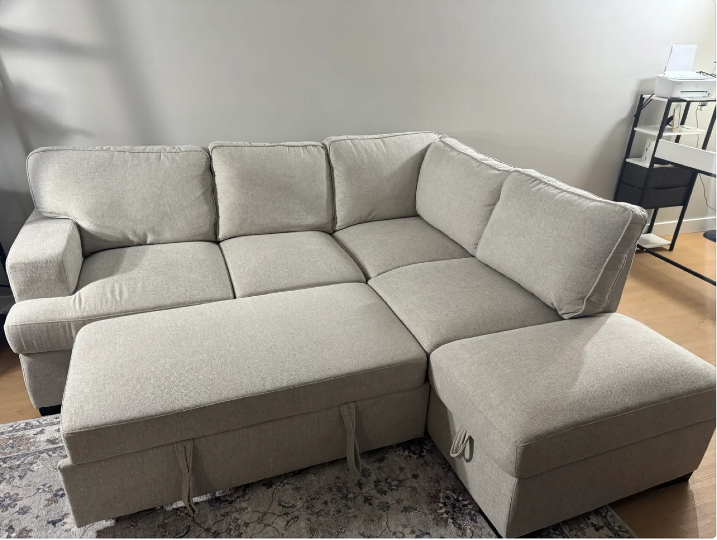 Beige Sectional Sofa with Pull-Out Sleeper image indicator(8)