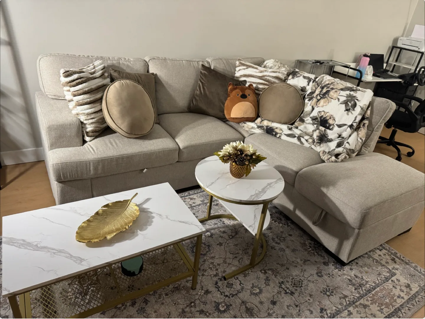 Beige Sectional Sofa with Pull-Out Sleeper image indicator(4)