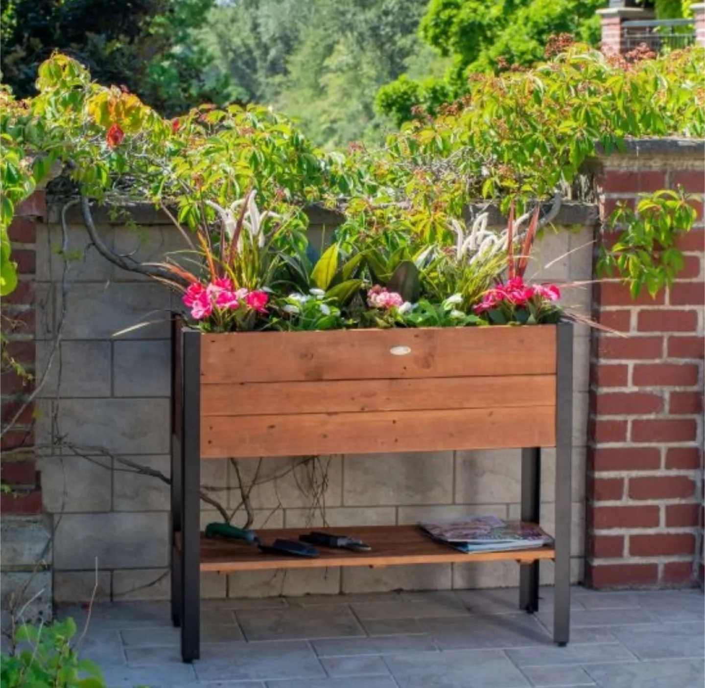 2 GRAPEVINE Raised Planters🪴Can Deliver 🚚 thumbnail