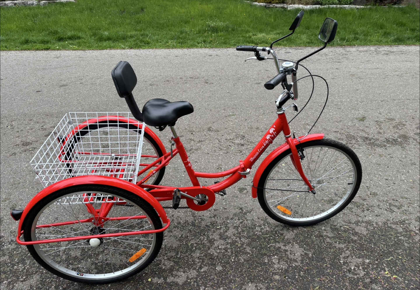 Adult Foldable Tricycle