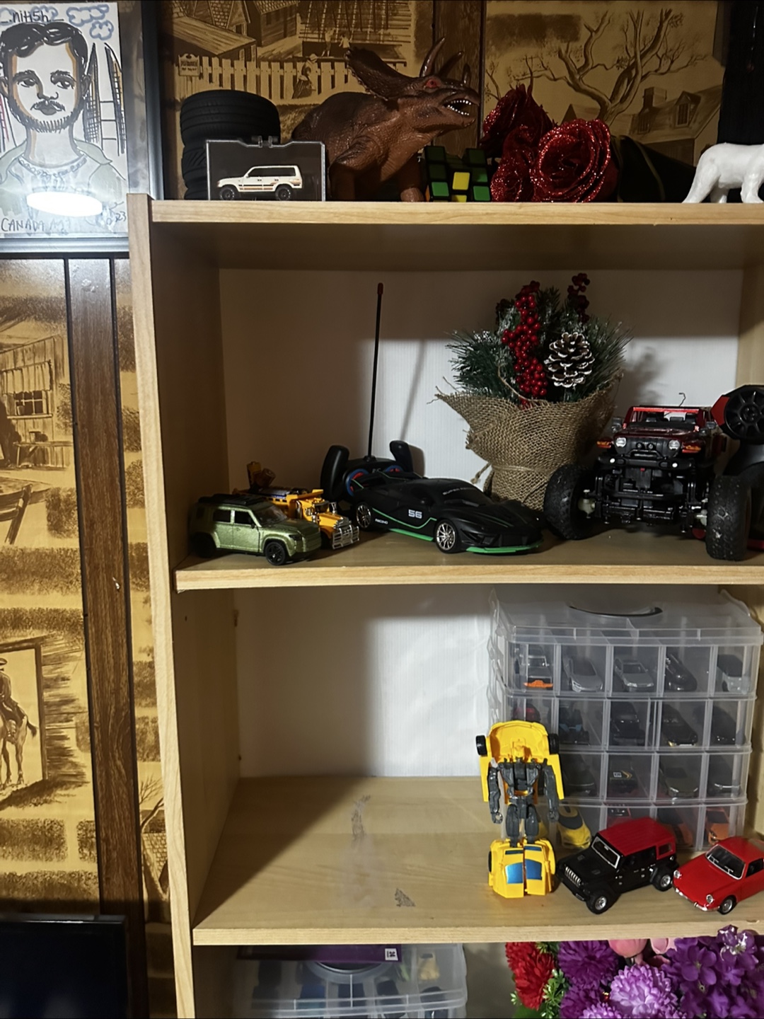 Book shelves