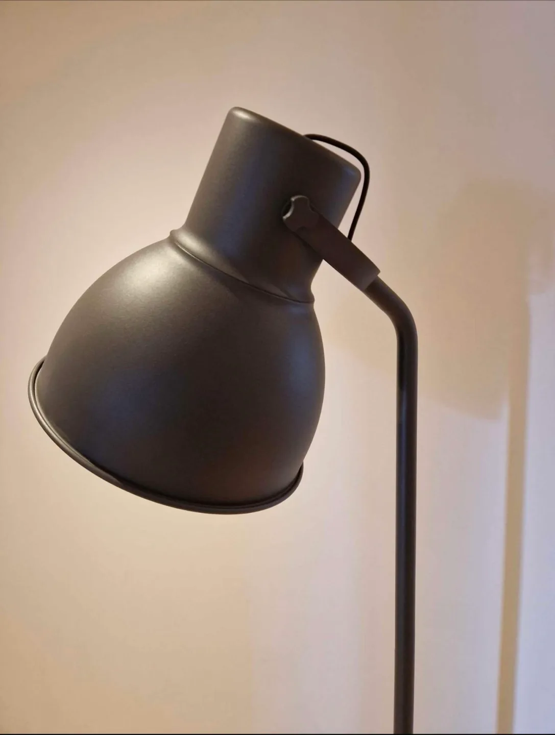 Black Metal Floor Lamp image indicator(3)