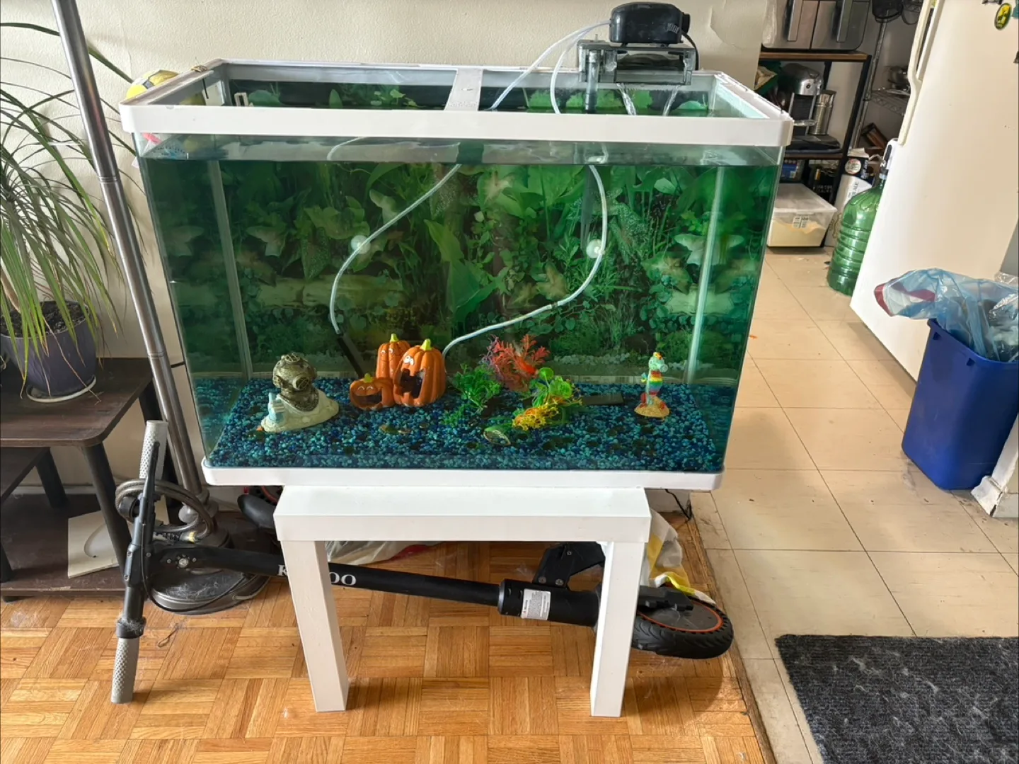 Aquarium image indicator(2)