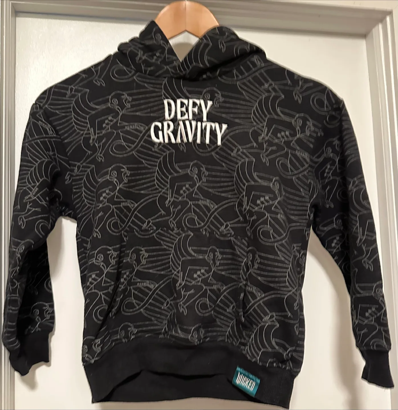 New Wicked Defy Gravity Hoodie, SM/C/P (6-7T) thumbnail