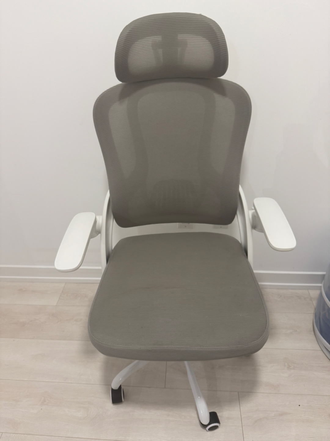 Grey Ergonomic Mesh Office Chair with Headrest
