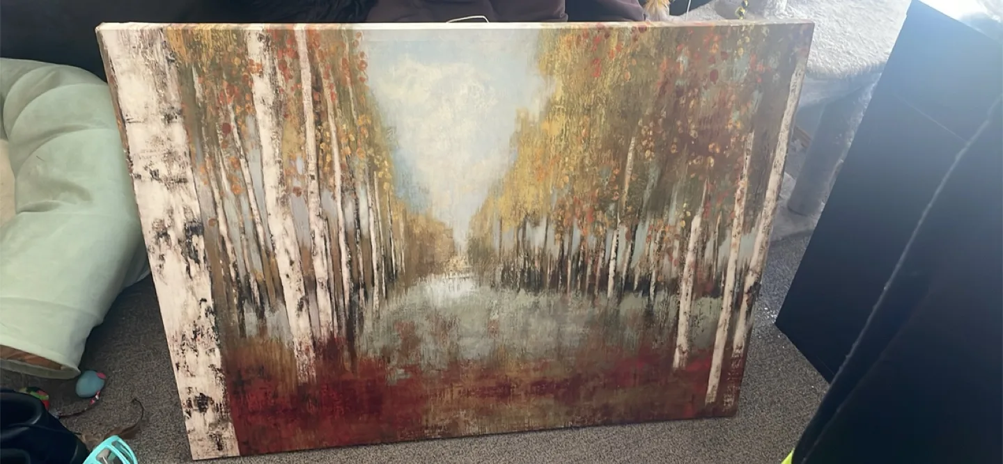 Large Autumnal Birch Tree Canvas Wall Art thumbnail