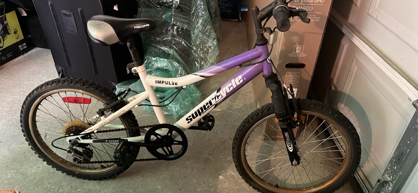 Supercycle 20 Inch Bike Canada Canadian Tire Supercycle Momentum