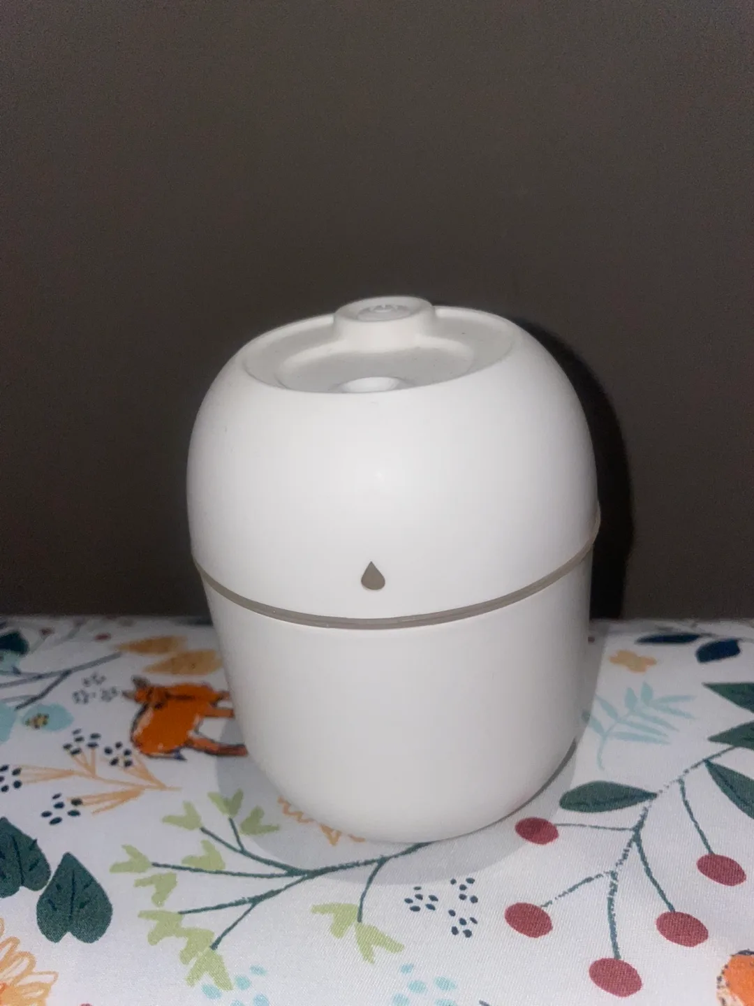 Portable Essential Oil Diffuser #freecycle thumbnail
