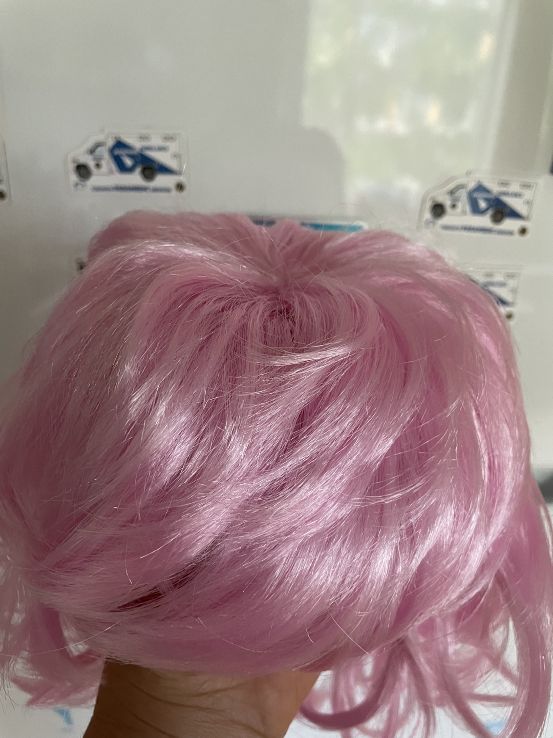 Pink Wig #freecycle