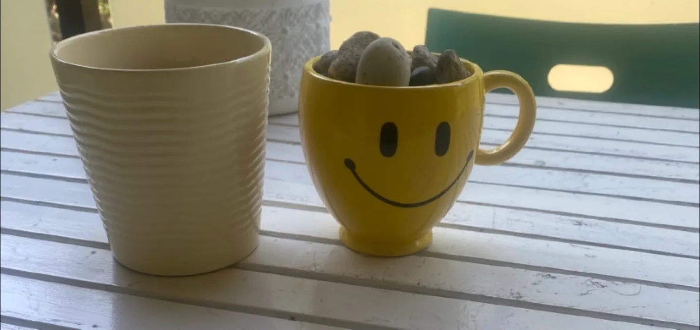 #freecycle - Smiley face ceramic pot thumbnail