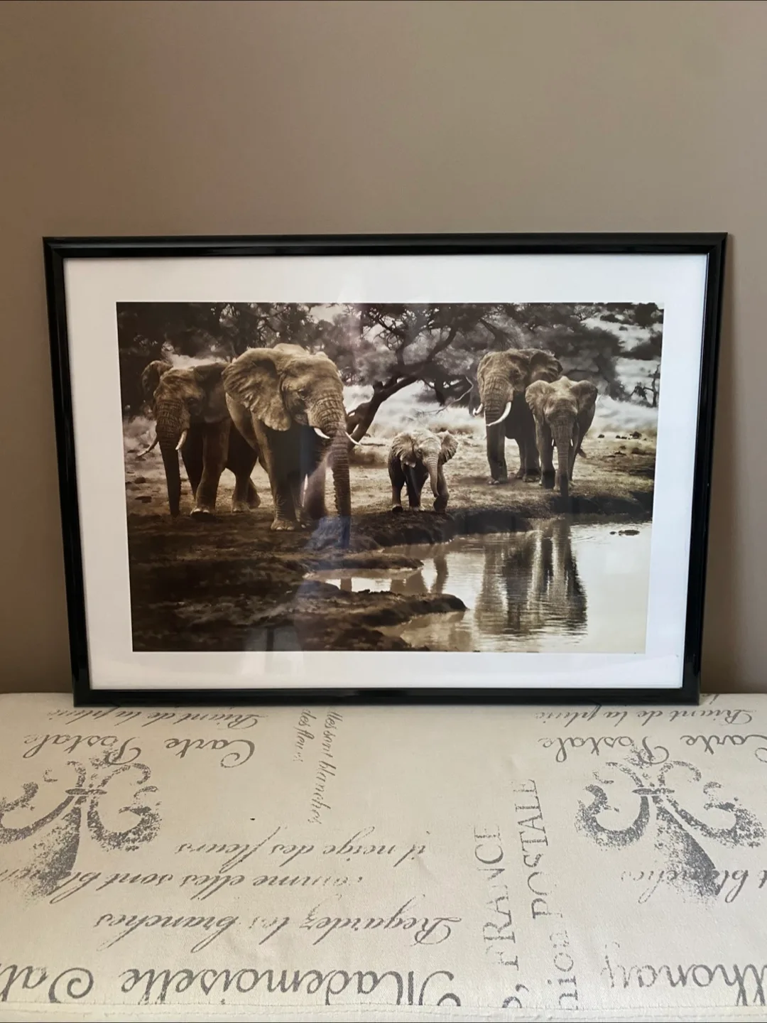 Photo and frame - 53cm x 74cm thumbnail