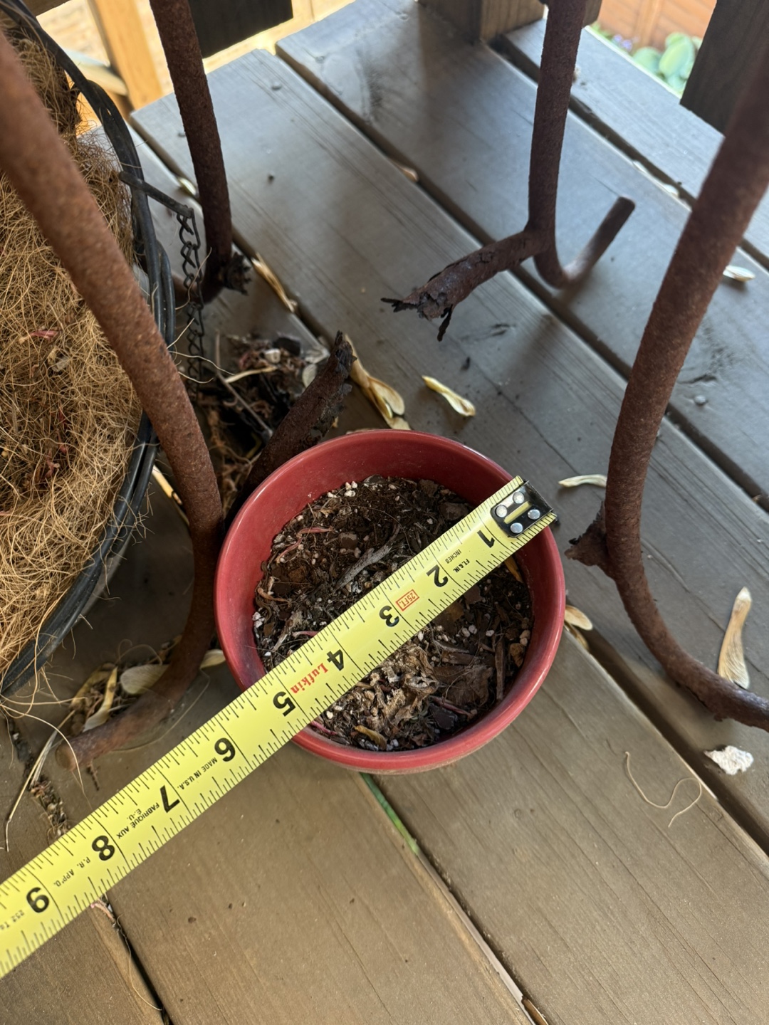 Small Red Terracotta Planter Pot with Saucer #freecycle - photo 2