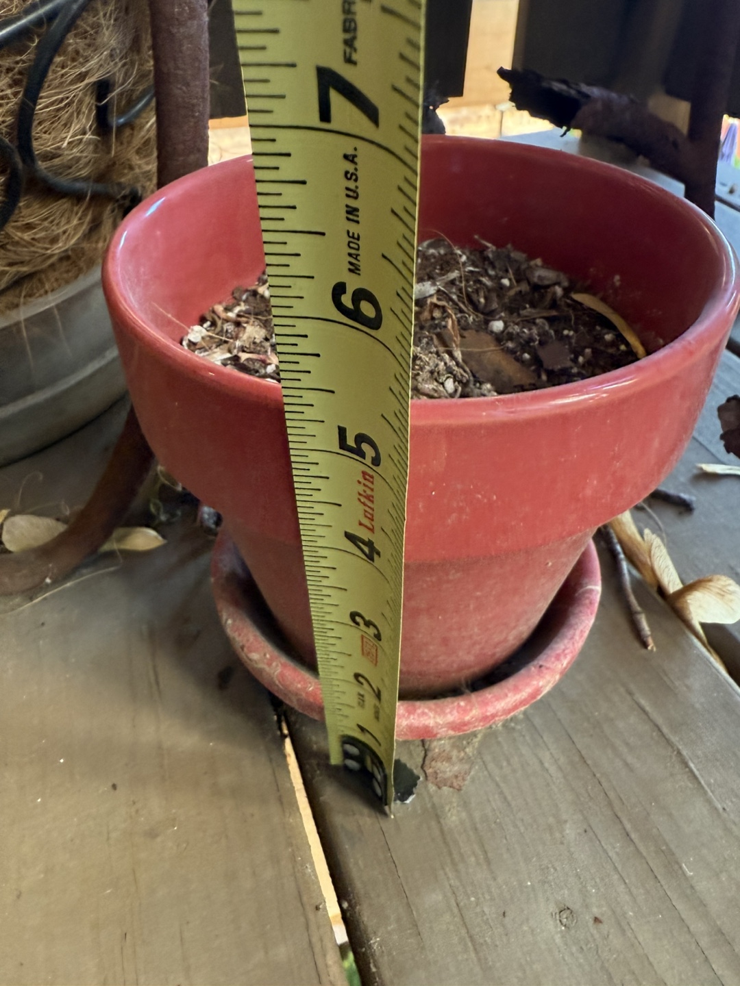 Small Red Terracotta Planter Pot with Saucer #freecycle - photo 3