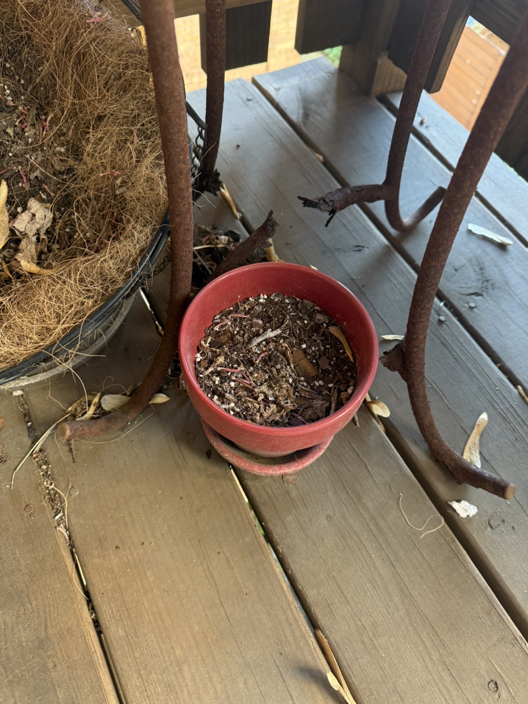 Small Red Terracotta Planter Pot with Saucer #freecycle