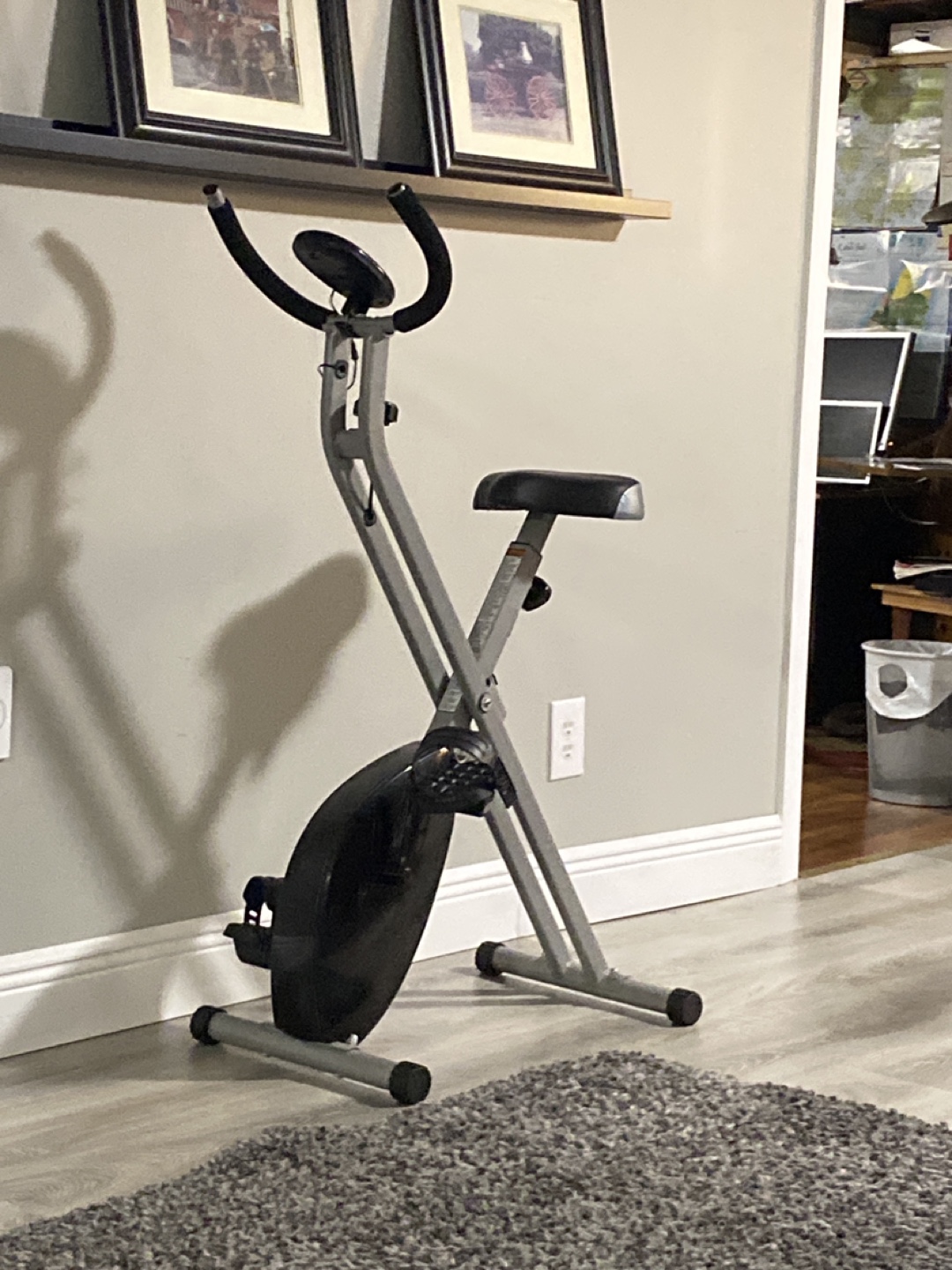 Folding Exercise Bike