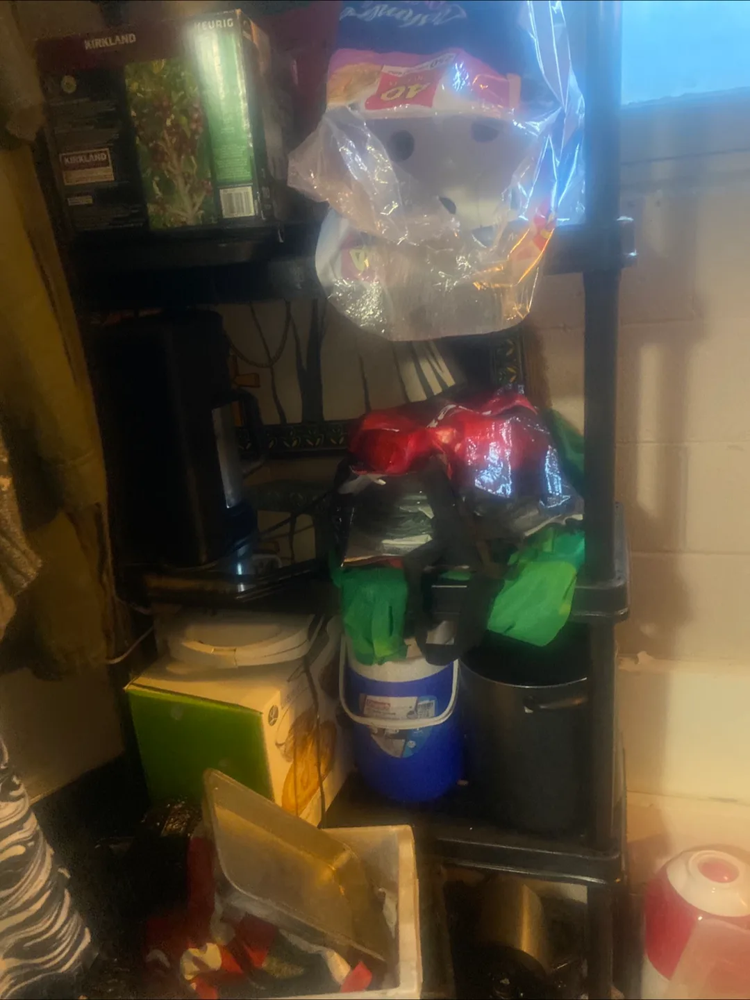 House fur image indicator(3)