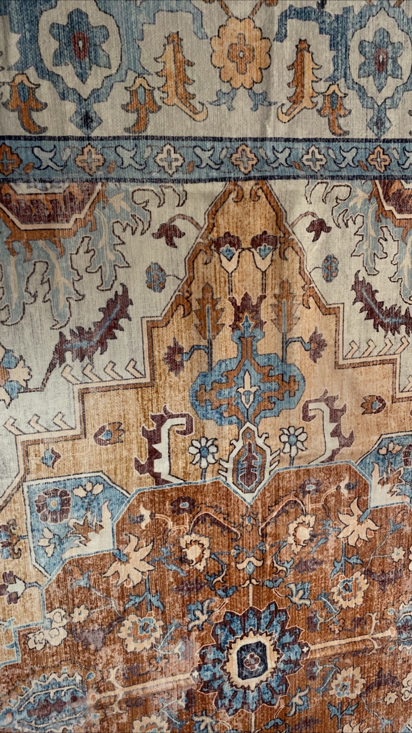 MontVoo Vintage Rug 8x10 Multi - photo 4
