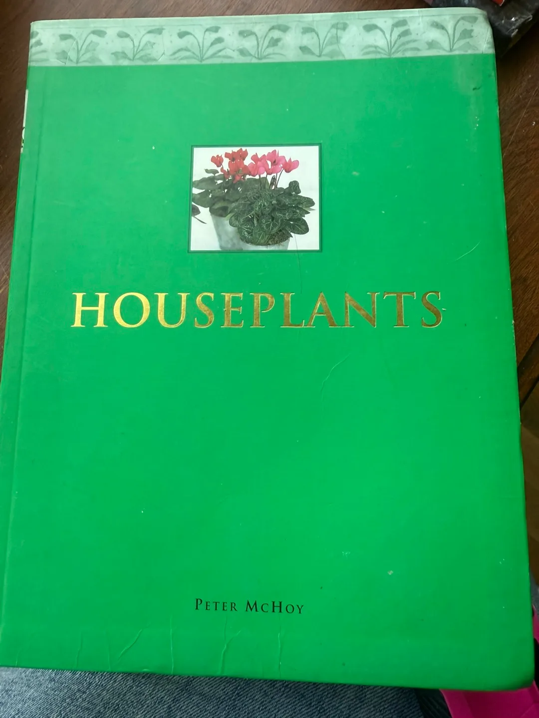 Houseplants by Peter McHoy thumbnail