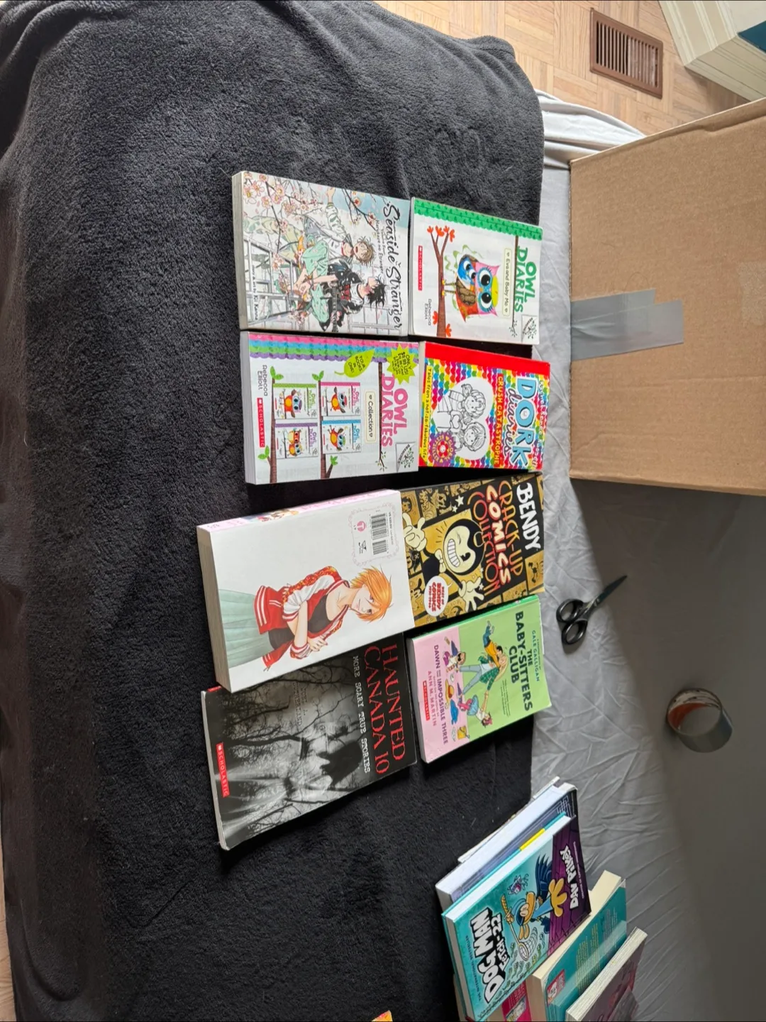 Lot of Children's Chapter Books image indicator(4)