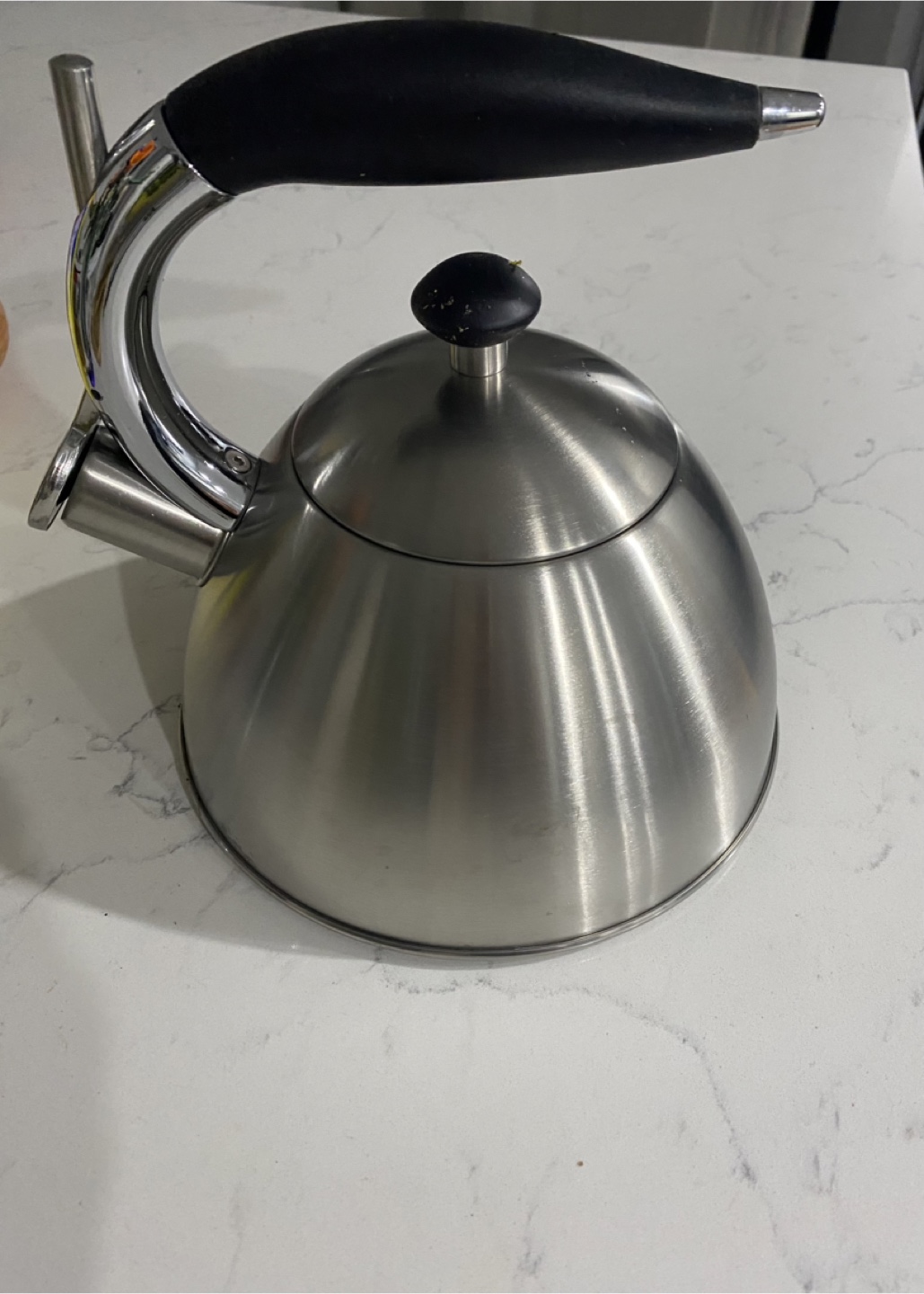 Stainless Steel Kettle with Ergonomic Handle