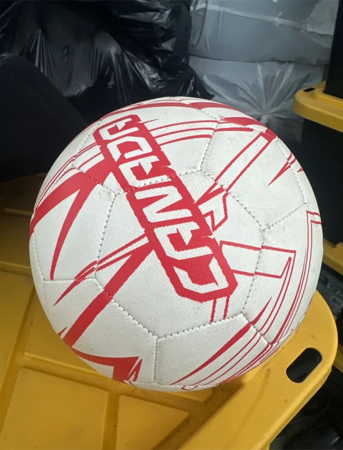 Soccer Ball #freecycle thumbnail