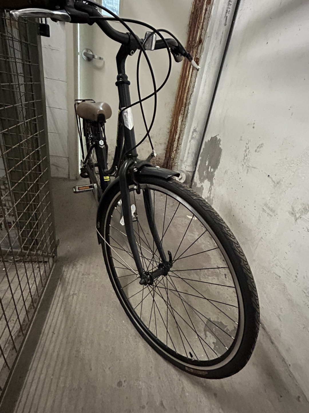 Passato 7-Speed Women's Cruiser Bike - photo 5