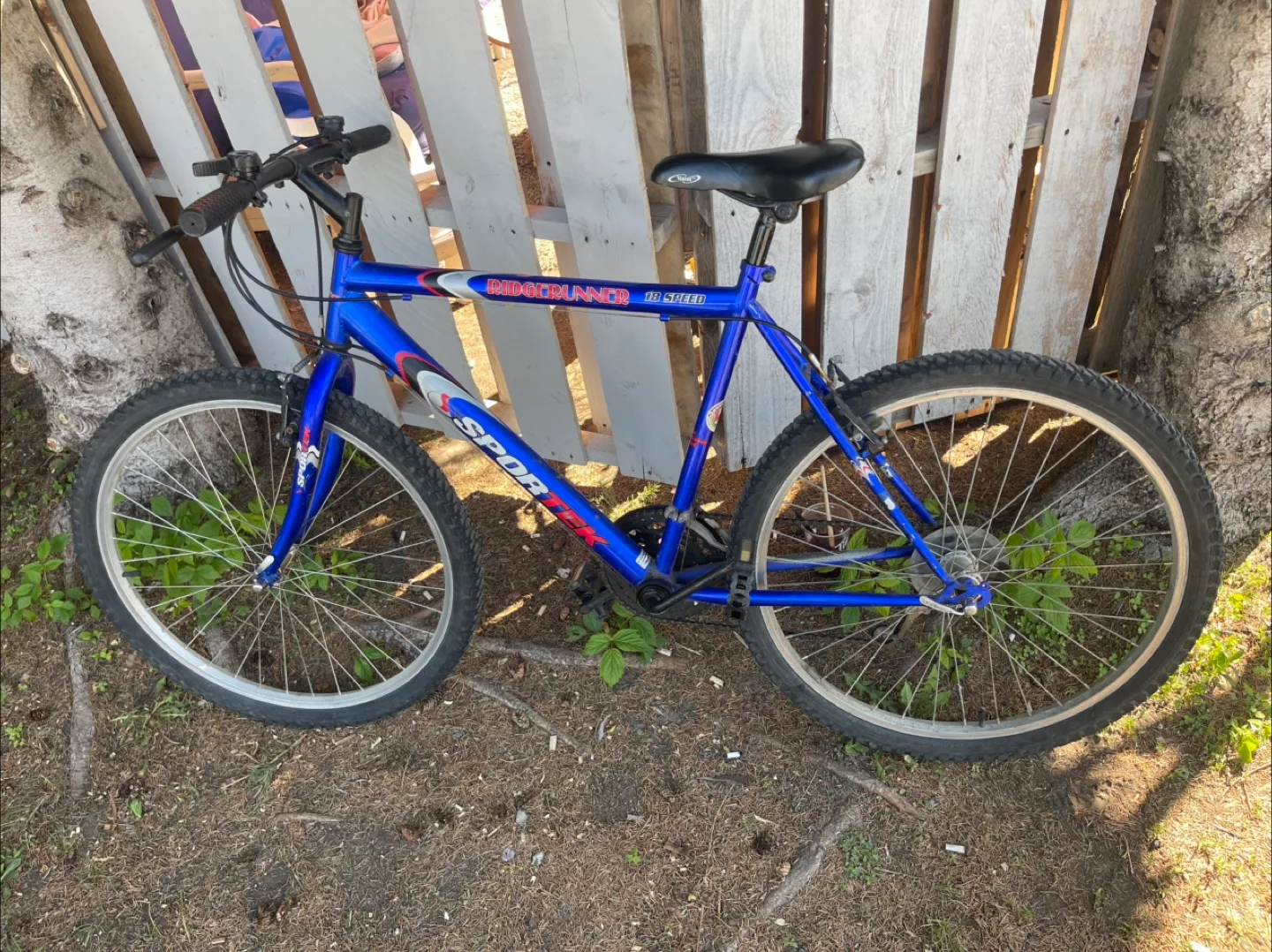 18 Speed Ridgerunner SportEX Mountain Bike thumbnail