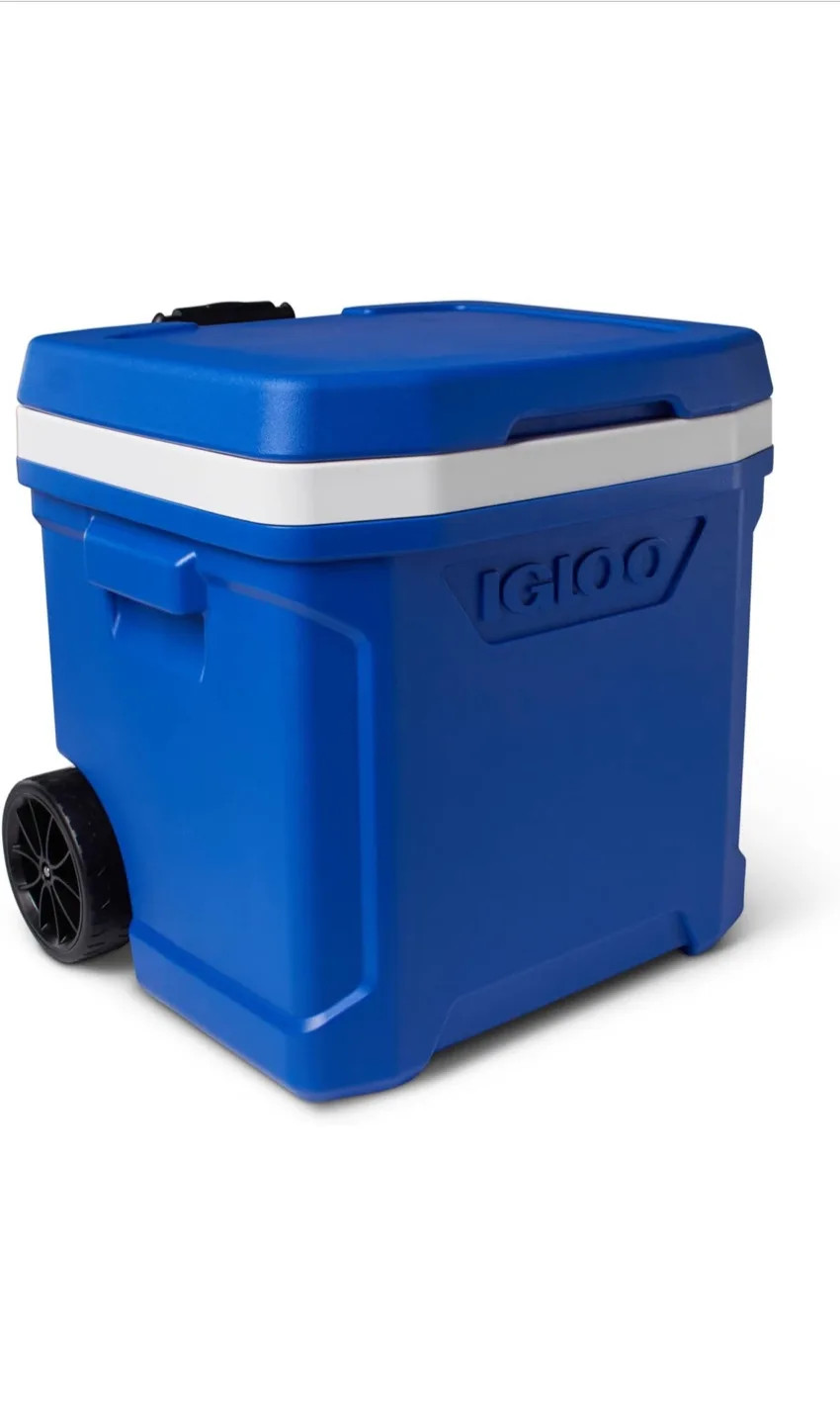 IGLOO 50-Quart Rolling Cooler thumbnail