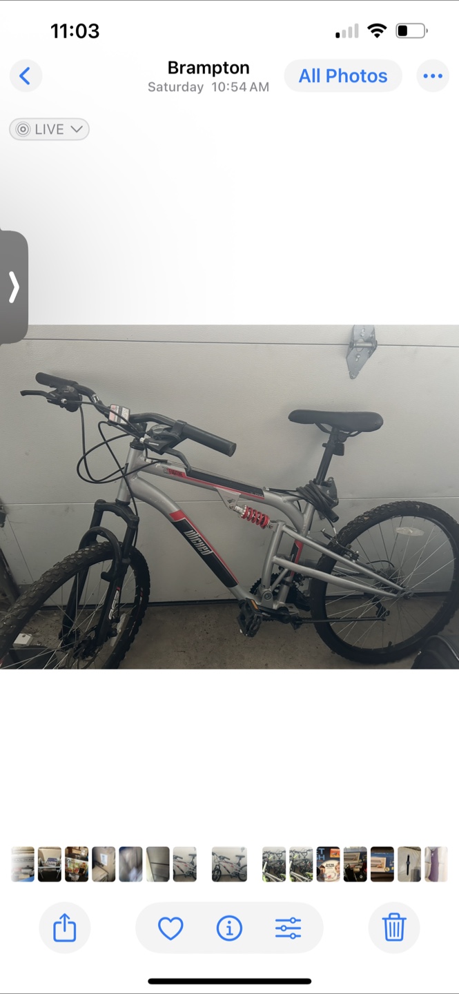 Mongoose mountain bike