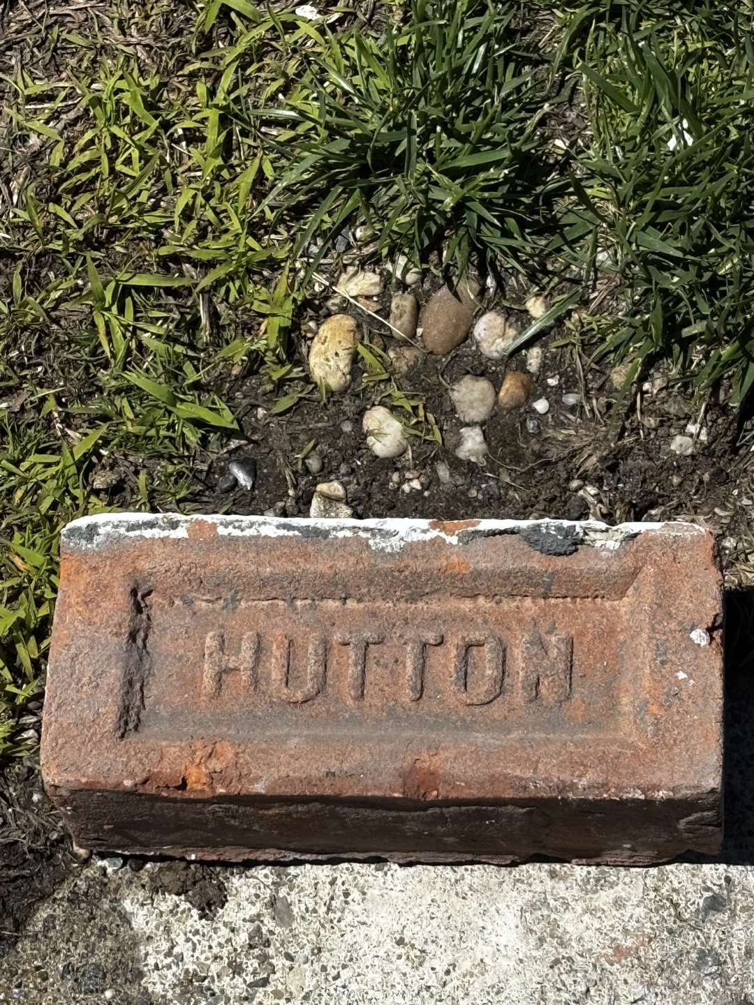 Free Bricks