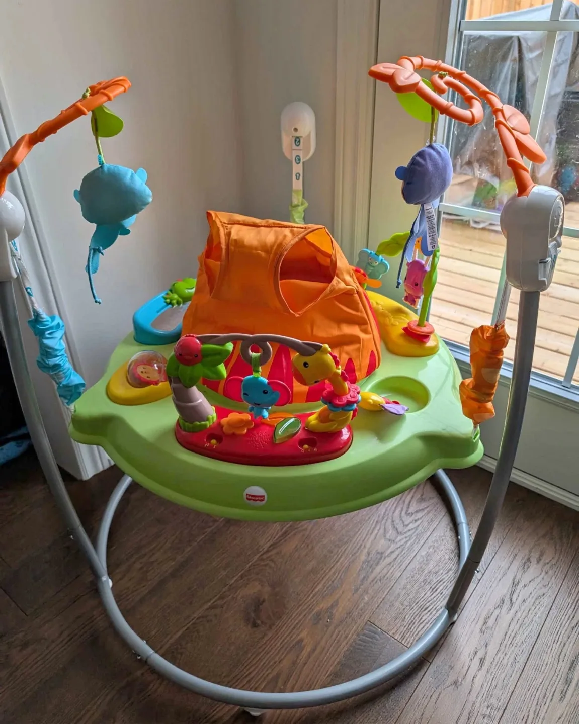 Fisher-Price Rainforest Jumperoo (bouncer)