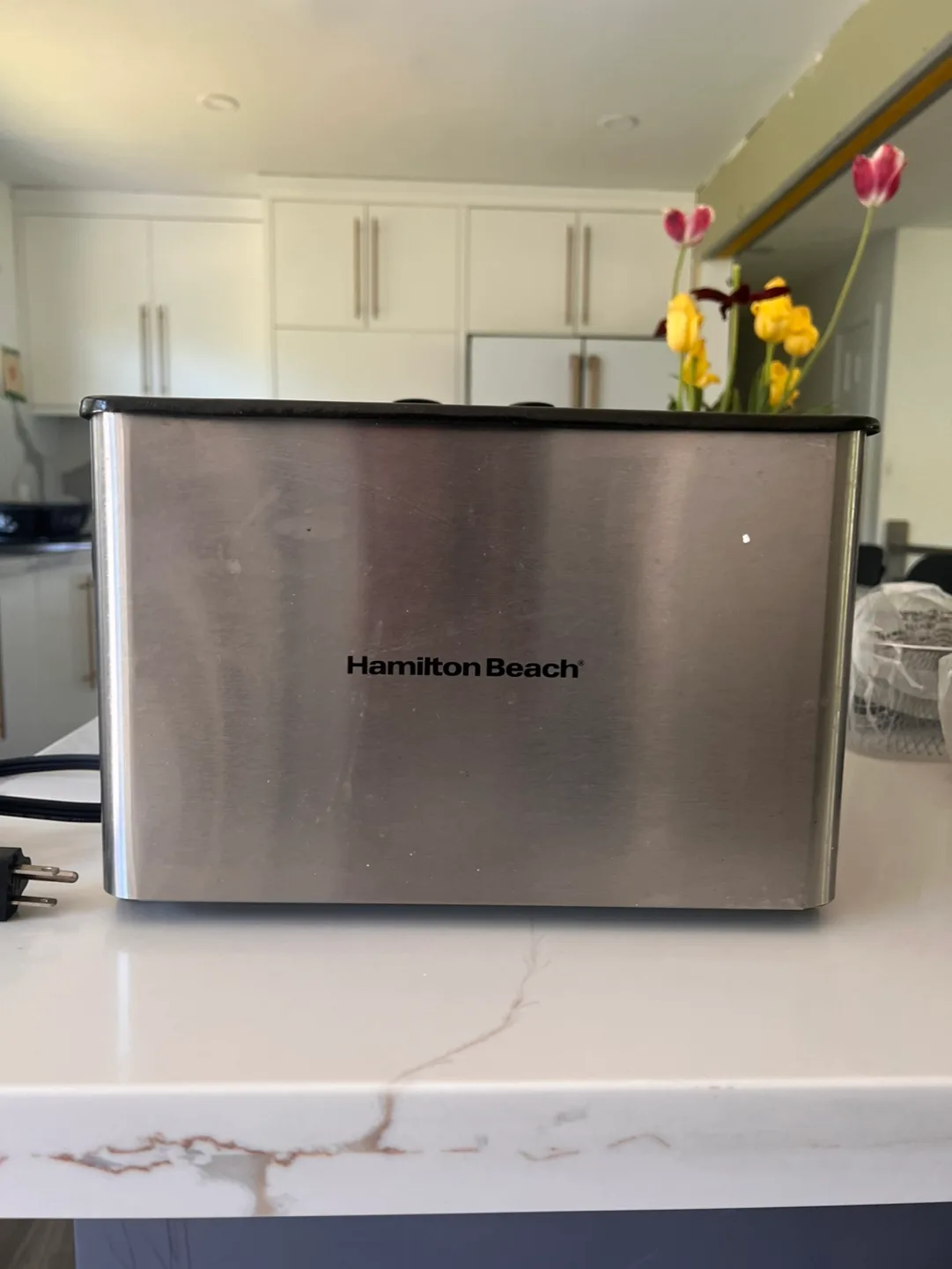 Hamilton Beach dual basket Deep Fryer image indicator(8)