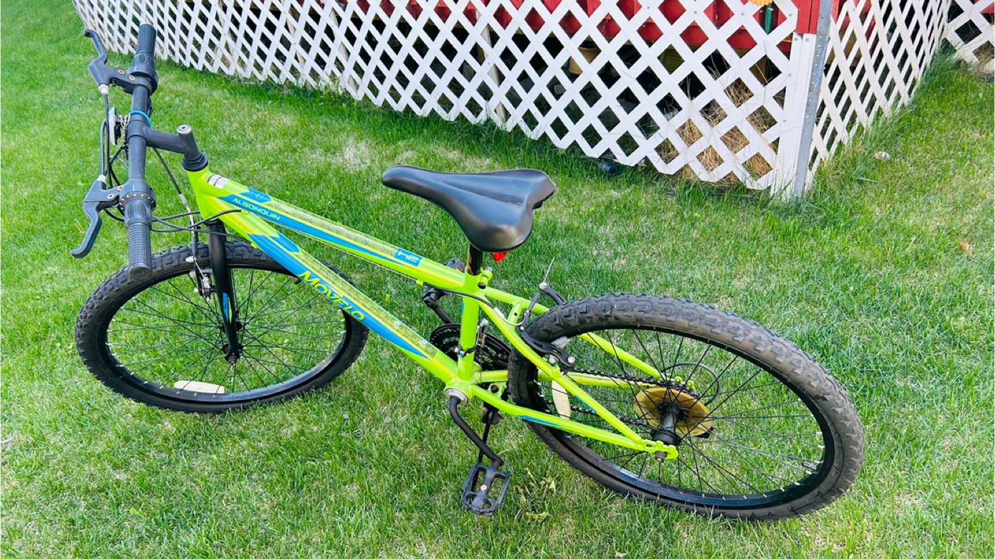 Mongoose Algonquin 20-inch Kids Bike