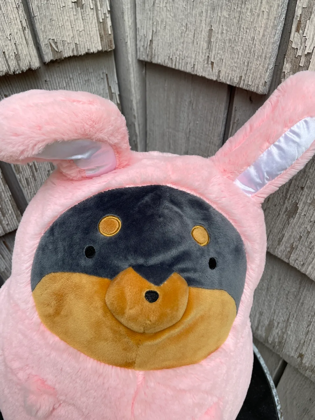 Tarushiba kawai Adorable Doberman Pinscher Bunny Plush image indicator(4)