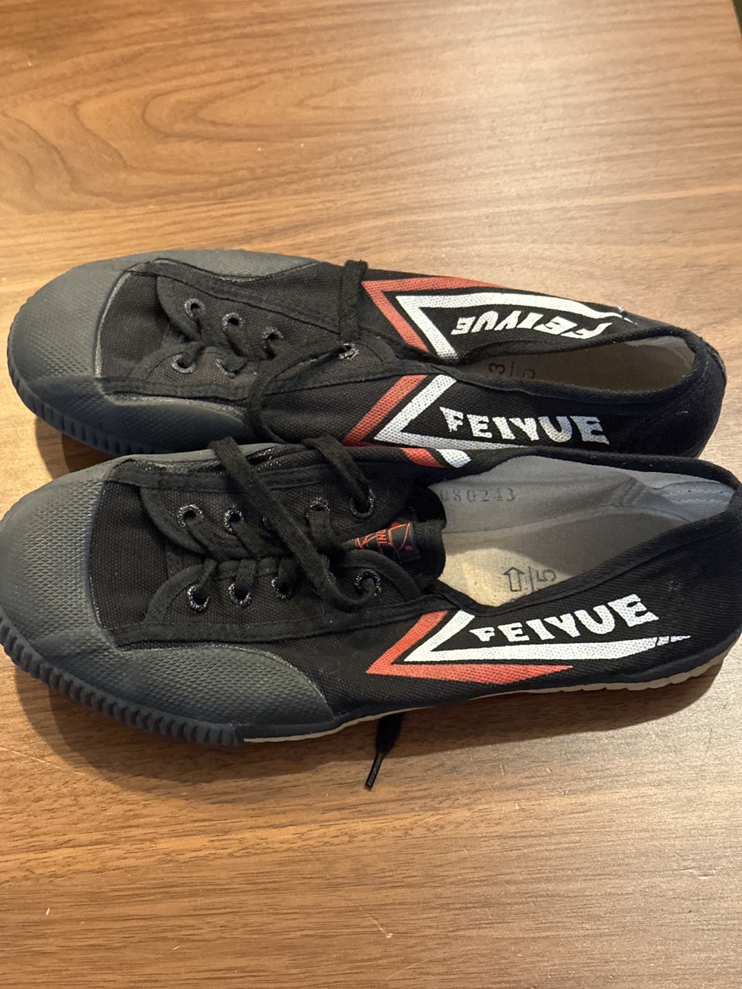 Feiyue Black Canvas Martial Arts Shoes