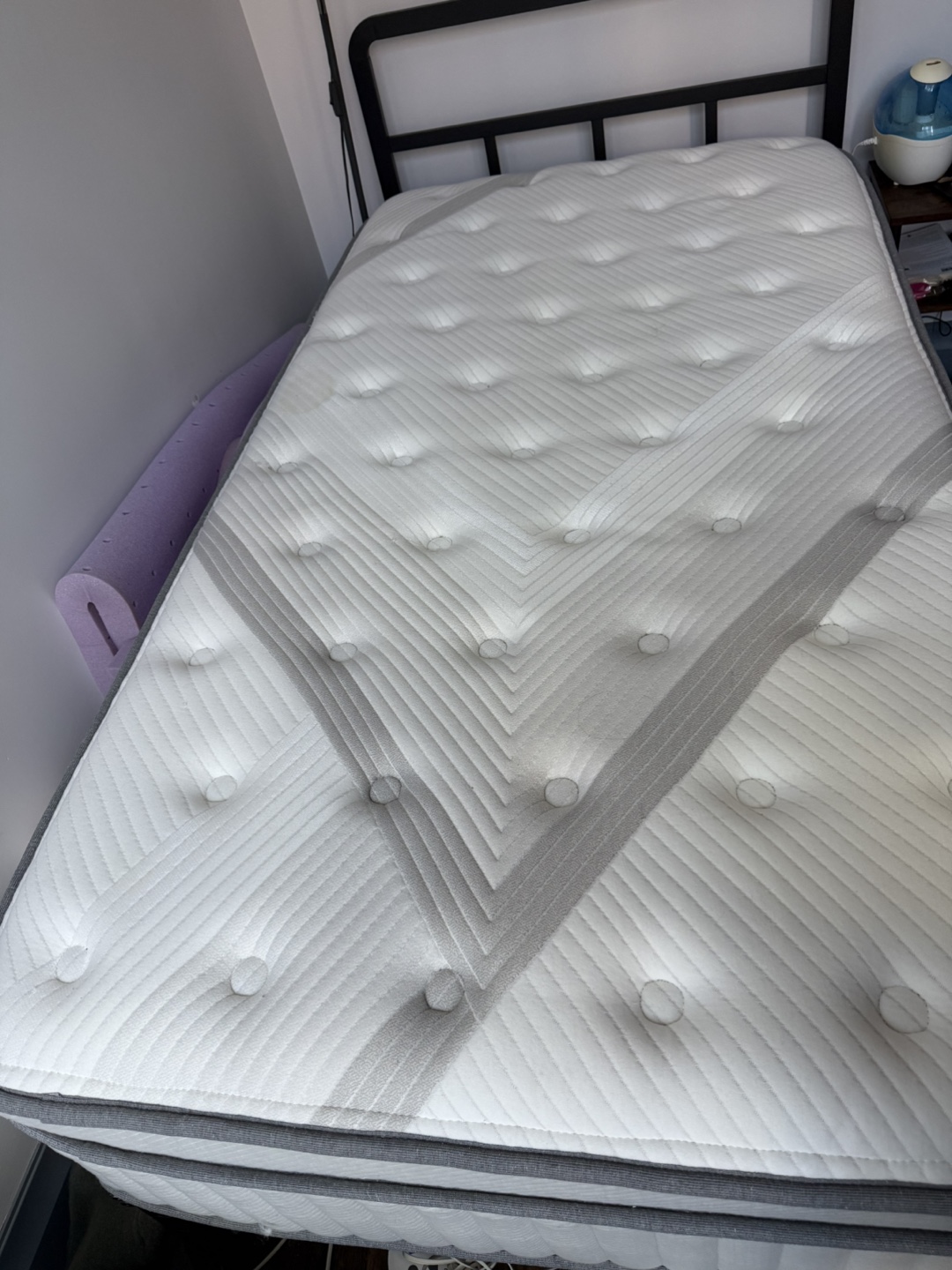 Lechepus hybrid 12 inch mattress-zeus