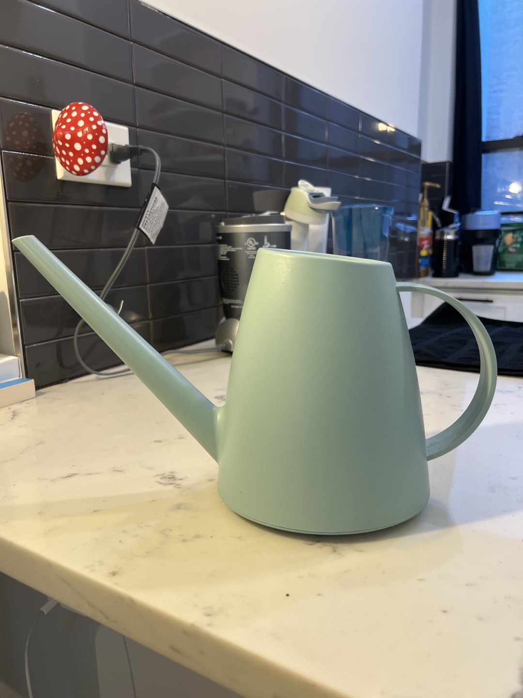 Light Green Plastic Watering Can