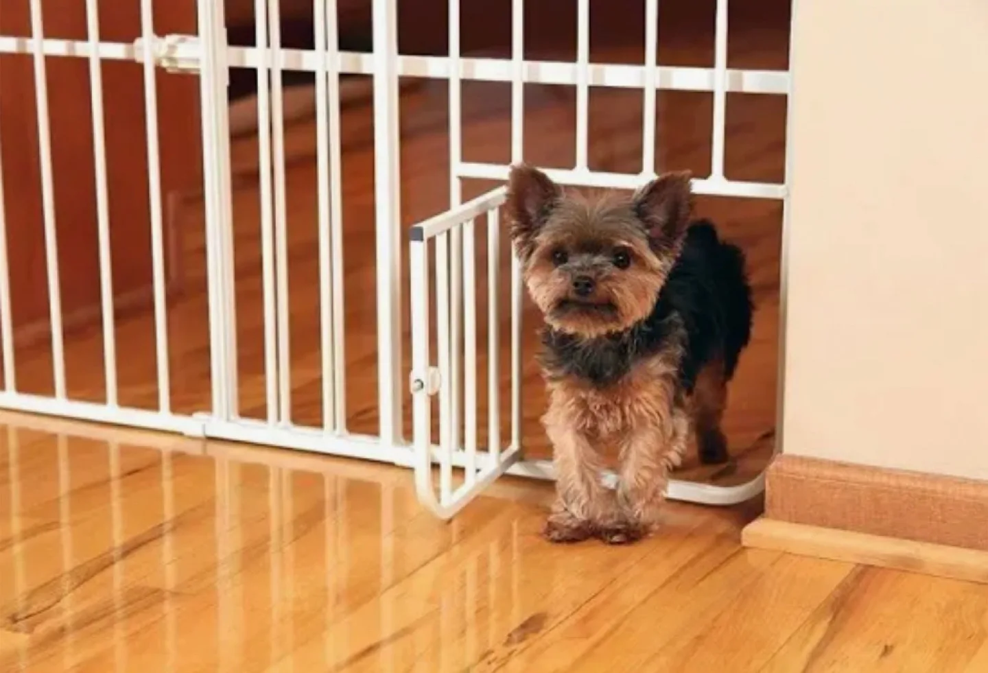 White Metal Pet Gate with Walk-Through Door image indicator(3)