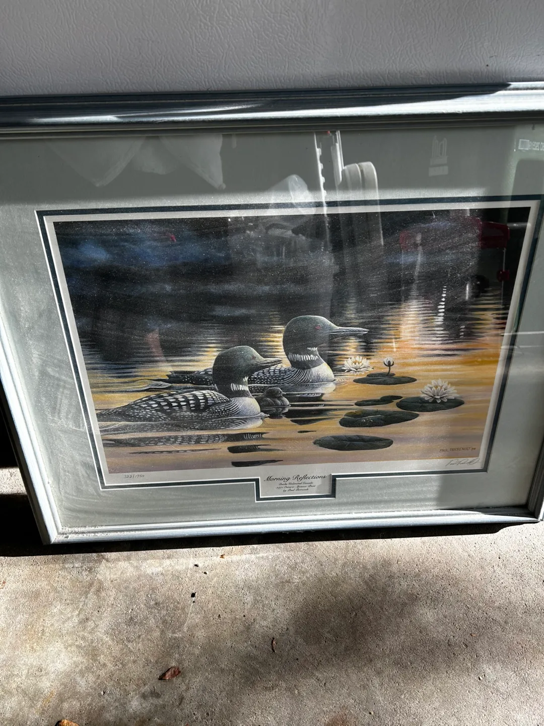 Morning Reflections image indicator(6)