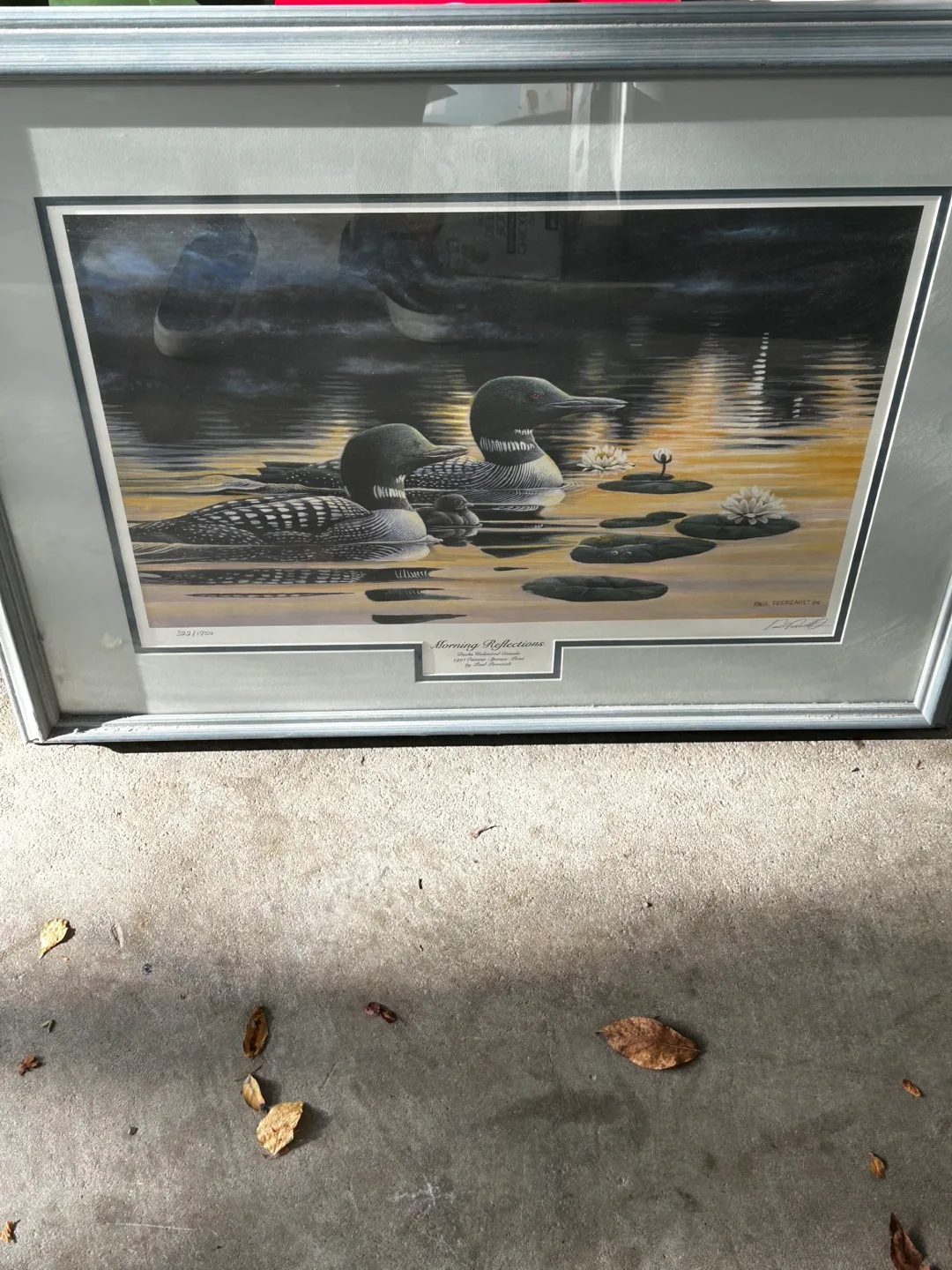 Morning Reflections image indicator(3)