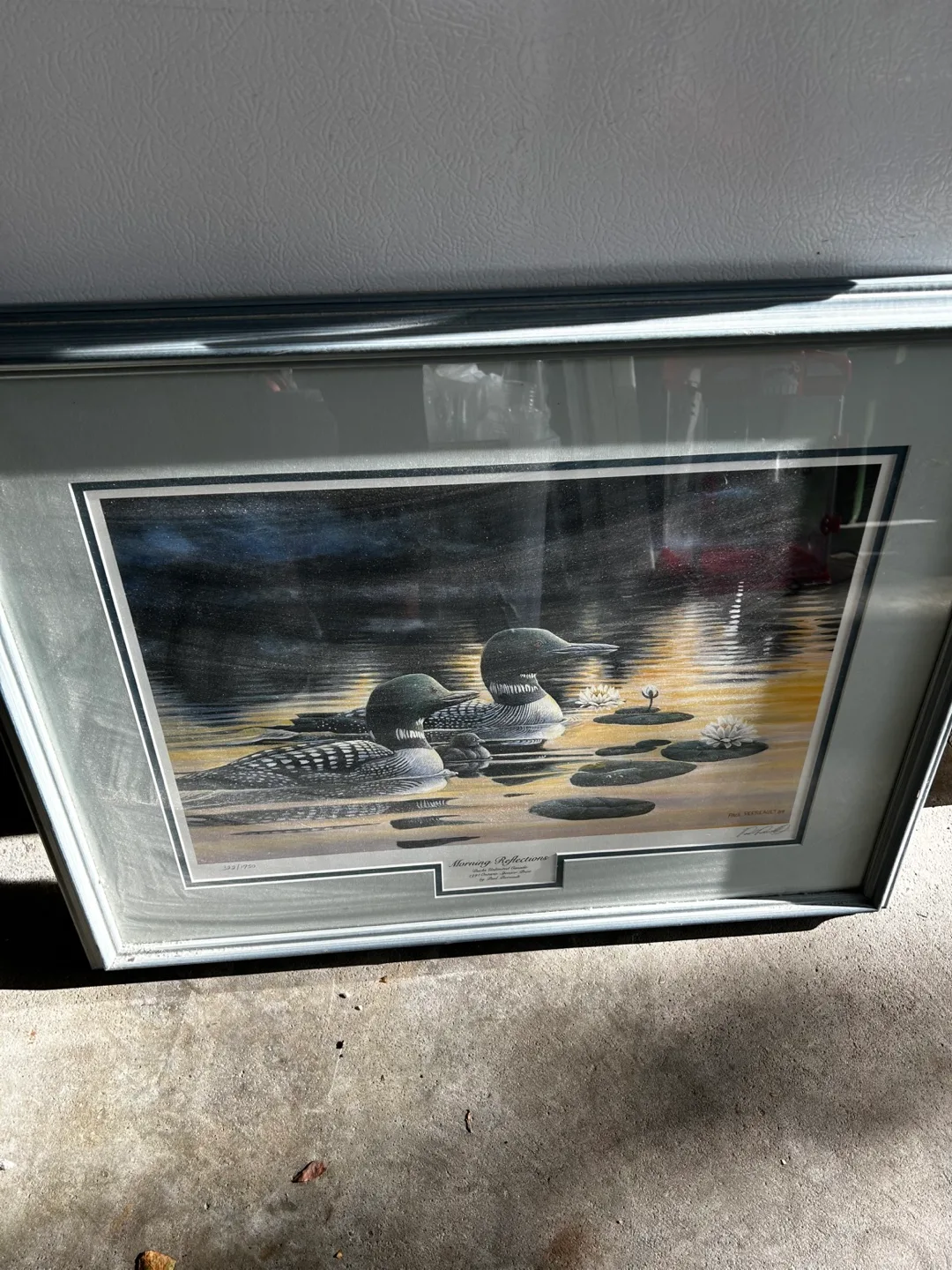 Morning Reflections image indicator(7)