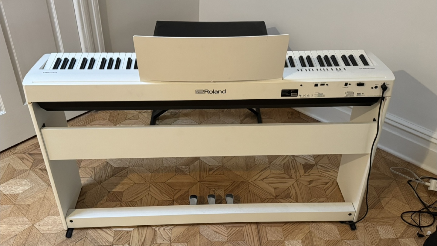 Roland FP-30 Digital Piano - White - photo 2