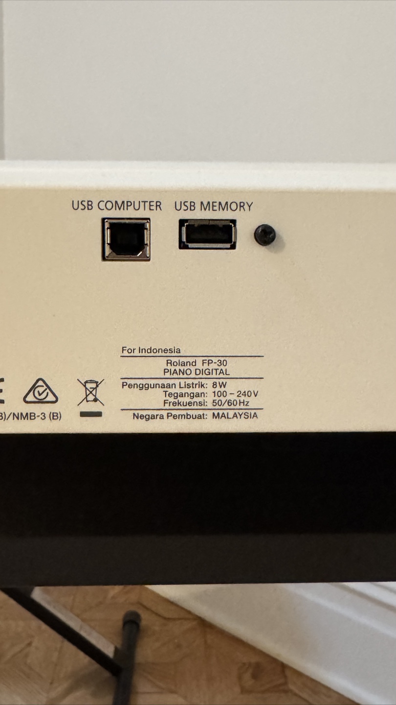 Roland FP-30 Digital Piano - White - photo 3